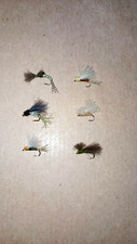 6 MOUCHES SECHES CDC DIVERSES    H16