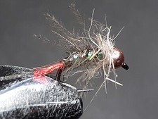 6 NYMPHES TETÊ DE TUNGSTÈNE QUEUE ROUGE POUR PÊCHE À LA MOUCHE-TUNG 163