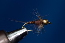 Fliegentom 3 piéces "Biotbody" Nymphe brun
