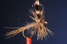 Fliegentom mouche sèche 3 pièces Adams