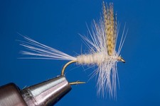 Fliegentom mouche sèche 3 pièces - Light Cahill