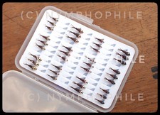 MOUCHE NYMPHE - LES ESSENTIELLES - BOÎTE DE 36 NYMPHES TUNGSTÈNE